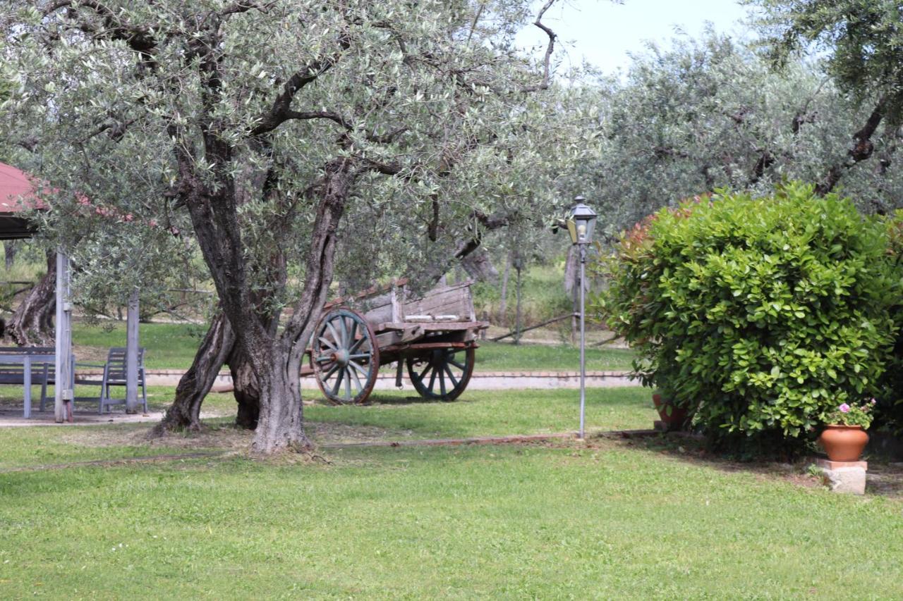 Agriturismo Il Bagolaro Nerola Dış mekan fotoğraf