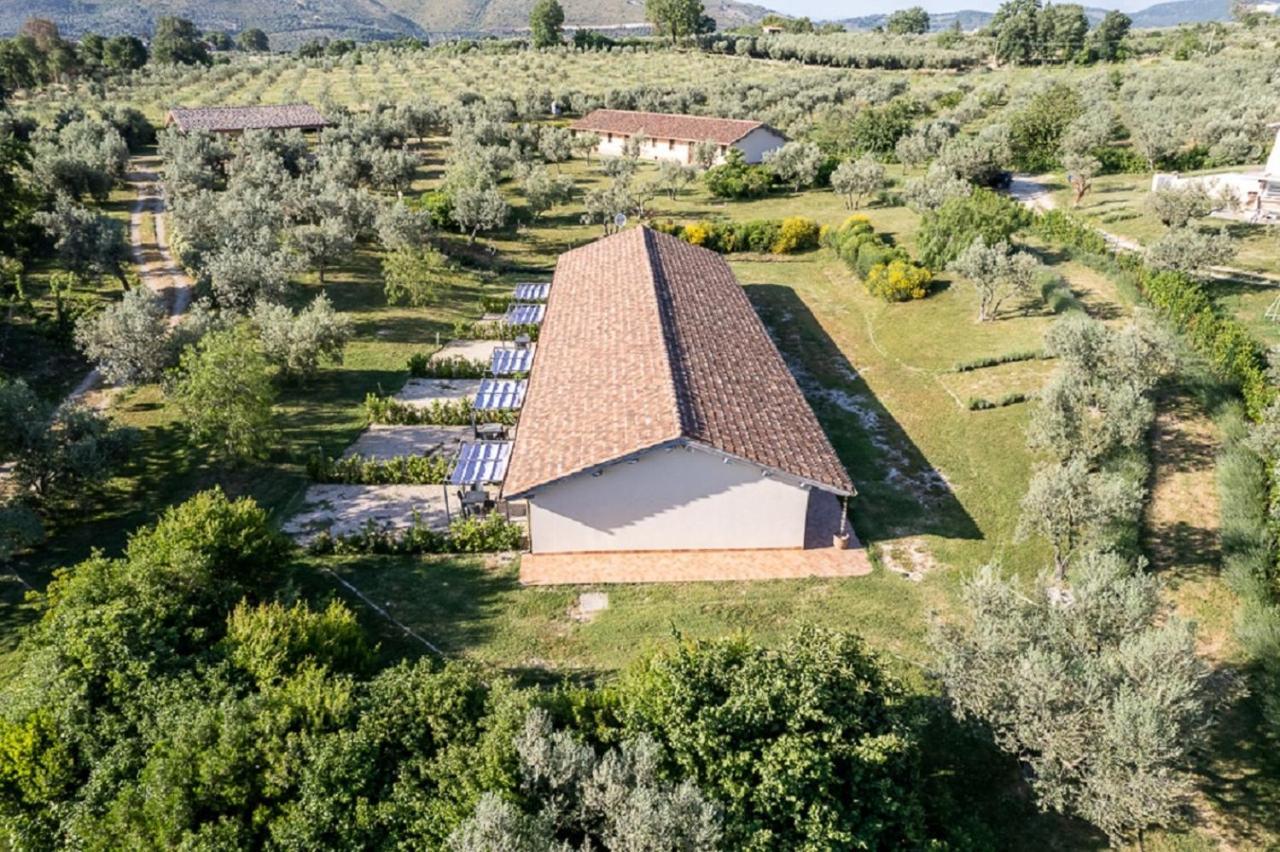Agriturismo Il Bagolaro Nerola Dış mekan fotoğraf