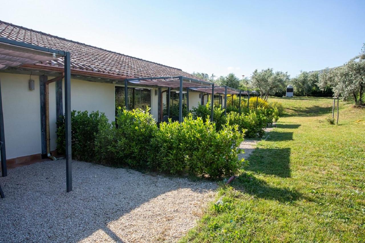 Agriturismo Il Bagolaro Nerola Dış mekan fotoğraf