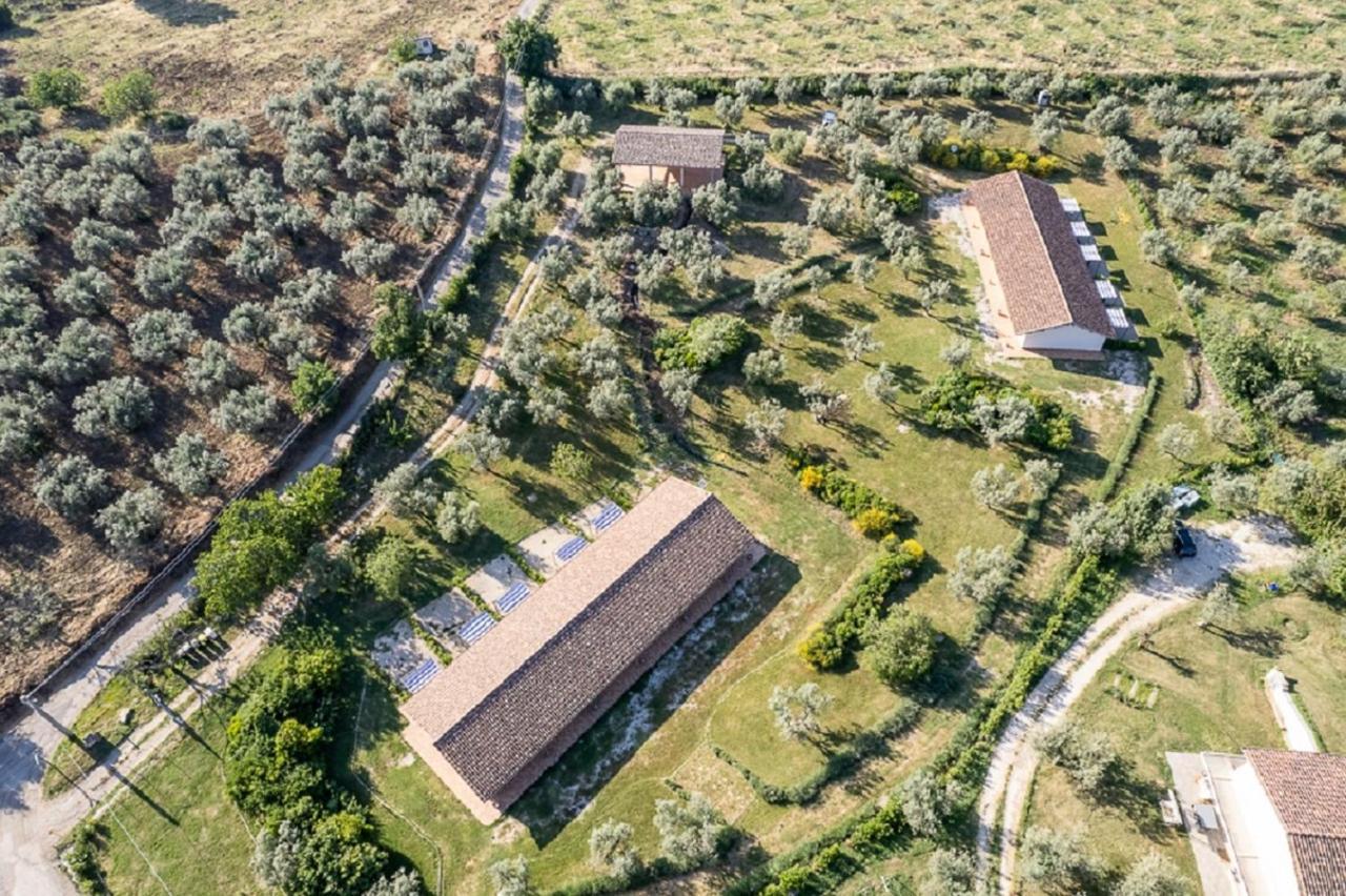 Agriturismo Il Bagolaro Nerola Dış mekan fotoğraf